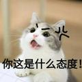 1树狸花压海棠头像