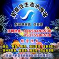 爱喜豆生态水族馆18659496598头像