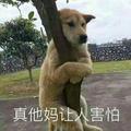 紫色霖瘋头像