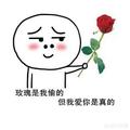 Twinkle_李元头像