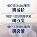 lester_L头像
