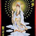 况月忠256头像