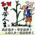 我心归宿801头像