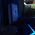 耗子3176头像