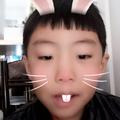 A清枫A头像
