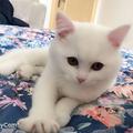 宁静致远4755943642129头像