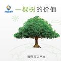 阳勇77577头像