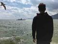 鱼消失后海就哭了17542836头像