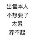 阿春哥269头像