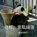 月半小夜曲7985头像