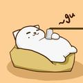 JasonGaoo头像
