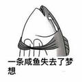 土豆9705头像