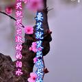 用户137390889头像