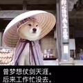 小辣鸡399头像