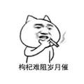 A摩卡691头像