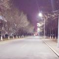 一盏青灯521头像