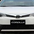 Corolla2019头像