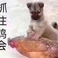 17刚刚好18头像