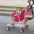 月亮与叁便士头像