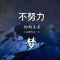 起碳司茶头像
