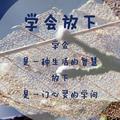 于慧敏373头像