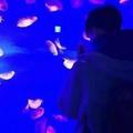 花神很优秀 · 坦克400 Hi4-T车主·车龄半年头像
