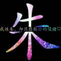 朱伟729头像