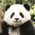 丶那年十三月丿头像