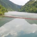 zsuson头像