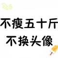野原新之助633头像