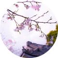 像颩樣孩紙143214000头像