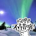 红尘陌生路头像