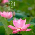 潮湿dě芯头像