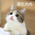 曲终人散的寂寞815头像