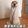 老实人4497头像