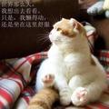 孤独人137876750头像