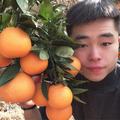 A枝头鲜果1号店头像