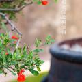 潇洒走个来回头像