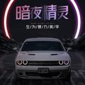 PonyCar进口商头像