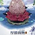 从容901头像