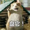 用户7230087122988头像