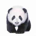 无语问苍天675头像