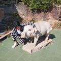 小振紫头像