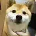i50381458头像