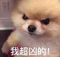 望海楼拓海头像