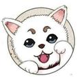 磊子同学 · 途胜车主·车龄1年头像