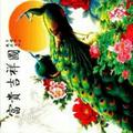 想买车坑太多头像