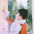 追寻84408头像
