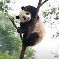 懂得珍惜7497头像