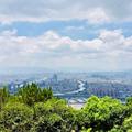 余生请指教538头像